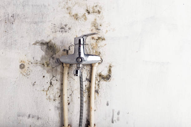 Best Emergency Mold Removal  in Somersworth, NH