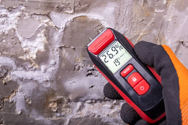 Best Local Mold Removal Service  in Somersworth, NH