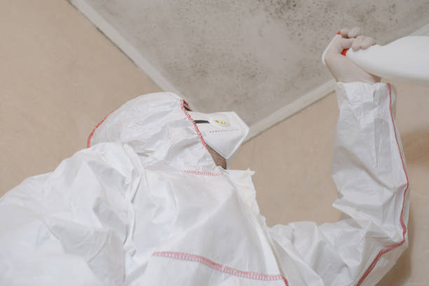 Certified Mold Removal in Somersworth, NH